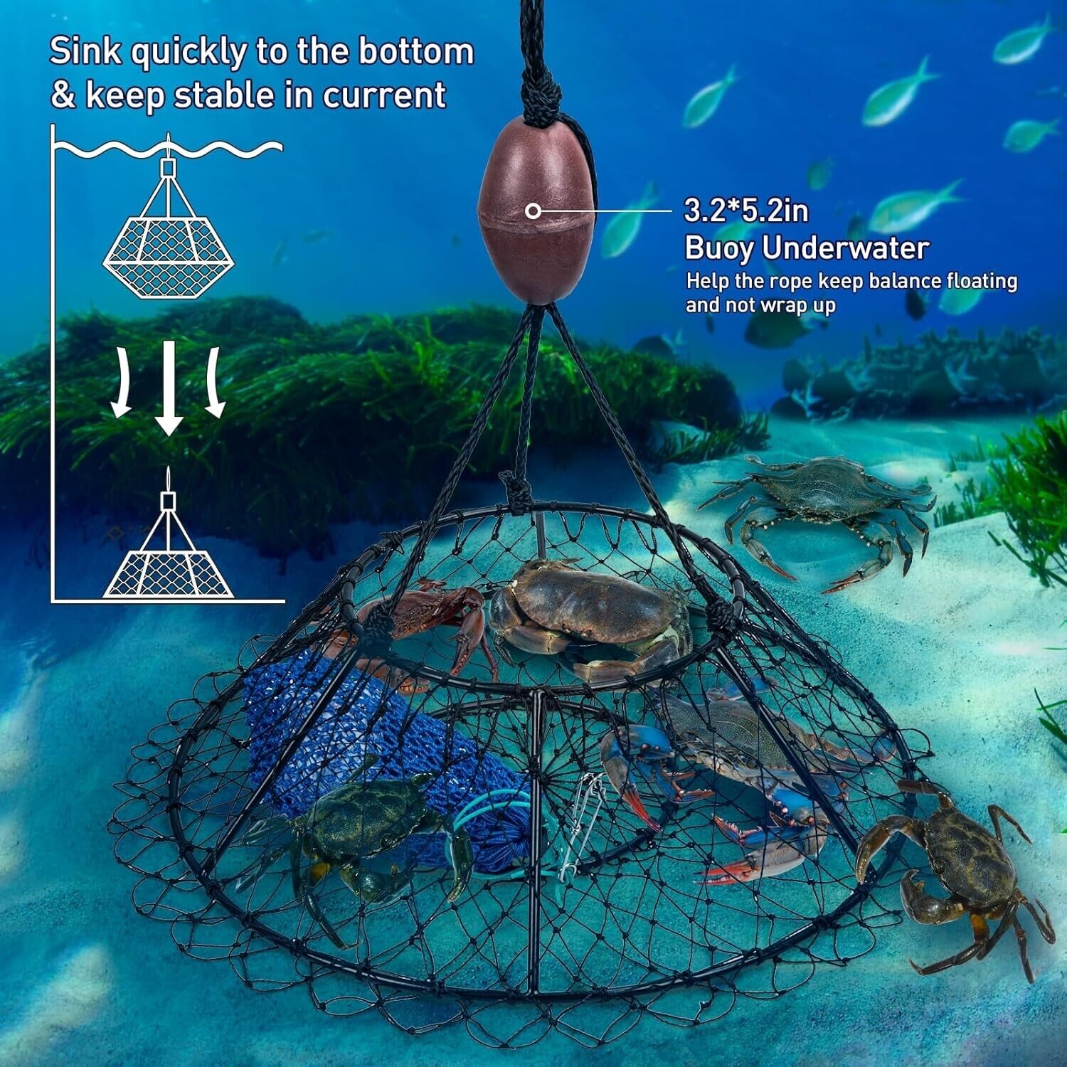 32in Diameter Ring Crab Trap, Lobster Hoop, Portable Foldable w/accessories