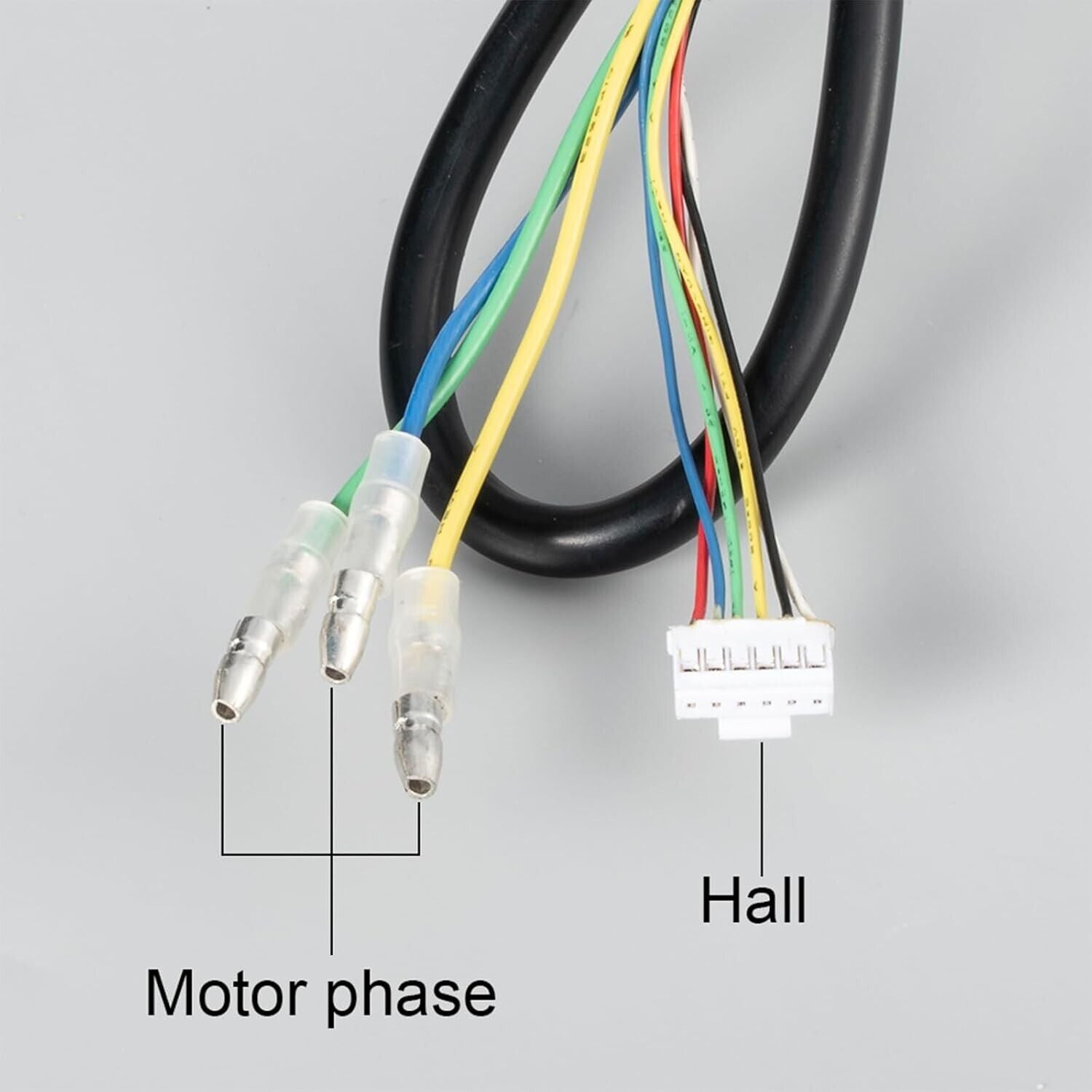 Scooter Hub Motor 36V 300W Electric Wheel Motor 8.5in Brushless 30H Magnet 800RP